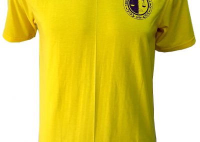 Đồng phục áo nhóm cựu sinh viên - 1 - màu vàng - zeeuni.com