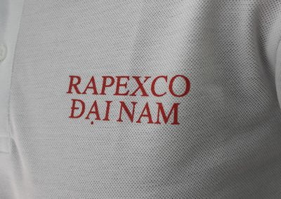 Áo thun công nhân của Rapexco Đại Nam - hình 3